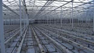 Kwekerij Mooijman - Renovation greenhouse - 22.480 m²