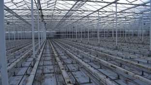 Kwekerij Mooijman - Renovatie serre - 22.480 m²