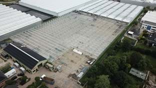 Kwekerij Maron - 8.000 m²