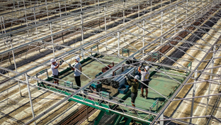 Schenkeveld - Dek renovatie - 98.410 m²