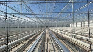 Bleiswijk - Renovation greenhouse - 54,540 m²