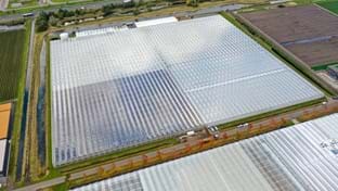 Cucumber farm Grubben - Roof renovation - 29.736 m²