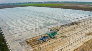 Reefresh Kwekerijen - 30.662 m²