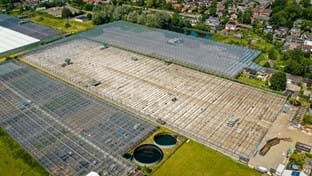 Kwekerij Mooijman - 17.100 m²