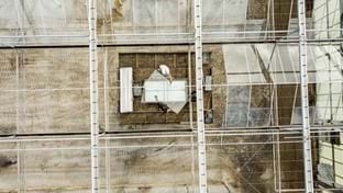 OTM Orchids - Greenhouse renovation - 15.702 m²