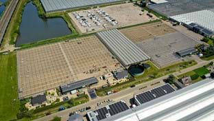 Van Egmond Matricaria - 24.345 m²