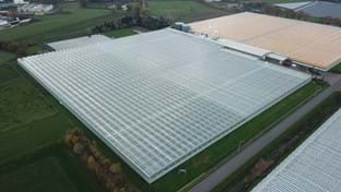 Vereijken - 36.543 m²