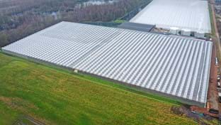 Hermans Tomana - 40.752 m²