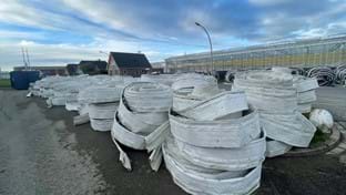 Bleiswijk - Rénovation de serre - 54 540 m²