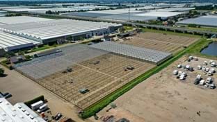 Van Egmond Matricaria - 24.345 m²