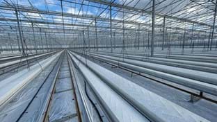 Cucumber farm Grubben - Roof renovation - 29.736 m²