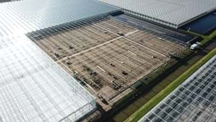 BraZander Specialty Growers - 9.936 m²