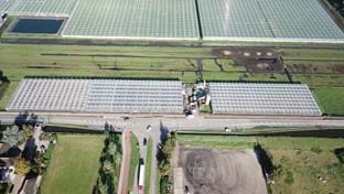 Gemeente Pijnacker - 7.869 m²