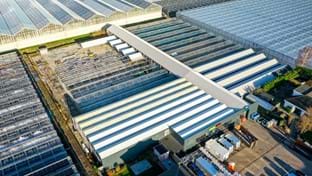 Van der Velde waterplanten - 5.120 m²