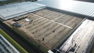 BraZander Specialty Growers - 9.936 m²