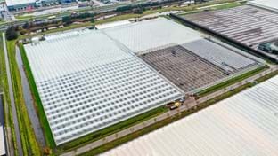 Cucumber farm Grubben - Roof renovation - 29.736 m²