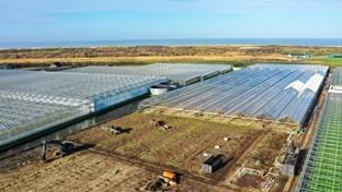 's-Gravenzande - 17.518 m²