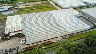 OTM Orchids - Greenhouse renovation - 15.702 m²