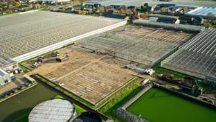 Bruinen - 19.850 m²