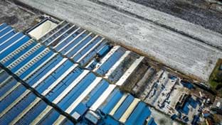 Aalsmeer - 38.308 m²