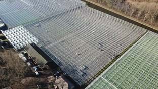 JongFresh Radijs - fase 1 - 31.844 m²