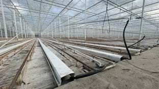 Bleiswijk - Renovation greenhouse - 54,540 m²