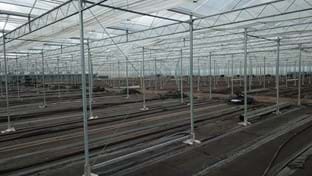 Vereijken - 36.543 m²