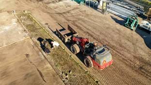 Imanse Quality Lilies - 33.732 m²