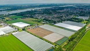 pépinière fruitière van Tuyl - 34.765 m²