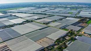 Bunnik Plants - 6.988 m²