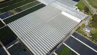 Flevo Flora - phase 1 - 9.975 m²