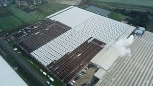 Vereijken - 36.543 m²