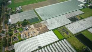 Zorgkwekerij Bloei - 14.806 m²