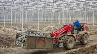 Hoogweg Paprikakwekerijen - Renovation - phase 2 - 218.910 m²