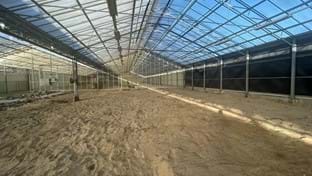 Zaandam -  Enlever le sol en béton - 5.021 m²