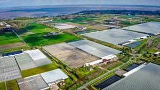 Dekker Glascultures - phase 2 - 52.080 m²