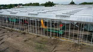 Imanse Quality Lilies - 33.732 m²