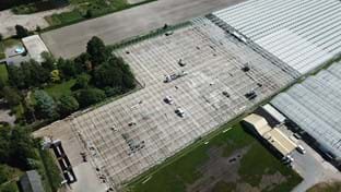 Ko Kolk Hortensia - 22.918 m²