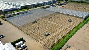 Van Egmond Matricaria - 24.345 m²