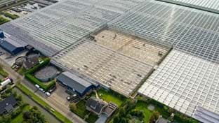 Bunnik Plants - 6.988 m²