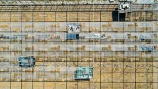 Fransen Orchids - 38.130 m²