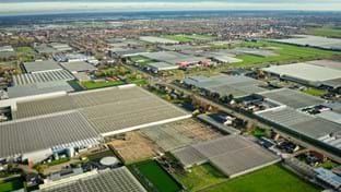 Bruinen - 19.850 m²