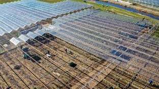 Bio-Gärtnerei Van Paassen – 9.820 m²