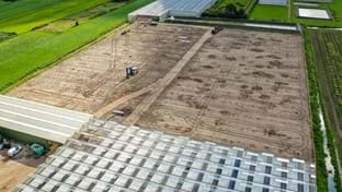 Imanse Quality Lilies - 33.732 m²