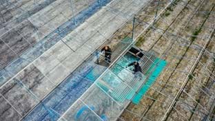 Dekker Glascultures - fase 2 - 52.080 m²