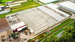 OTM Orchids - Greenhouse renovation - 15.702 m²
