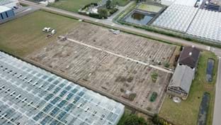 Pijnacker - Serres endommagées - 5.971 m²