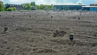 JongFresh Radish - phase 3 - 12.901 m²