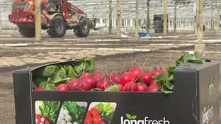 JongFresh Radijs - phase 2 - 18.841 m²