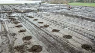 Vereijken - 36.543 m²